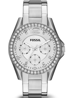 Fossil Jesse