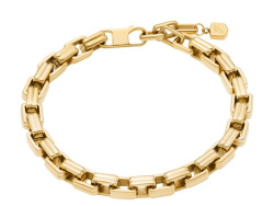Fossil Raquel Armband Bold Chains Goldig