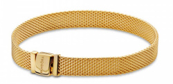Pandora Armband Reflexions Shine